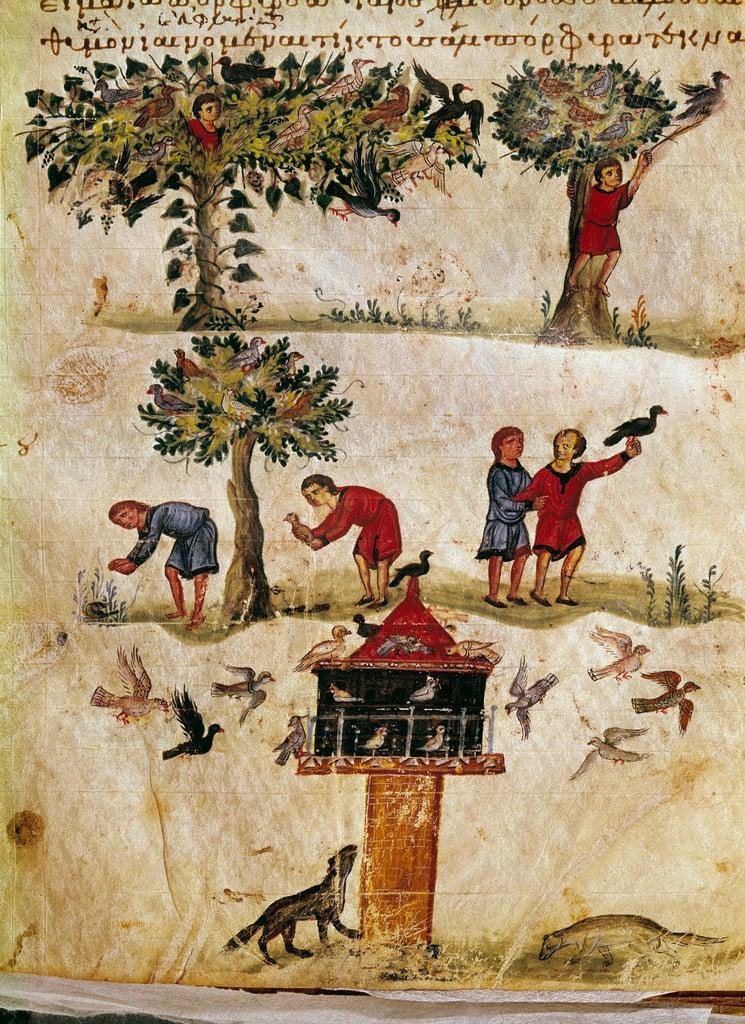 The breeding and training of Miniature falcons from the hunting “” The Cynegetics”” of Oppian (Oppia