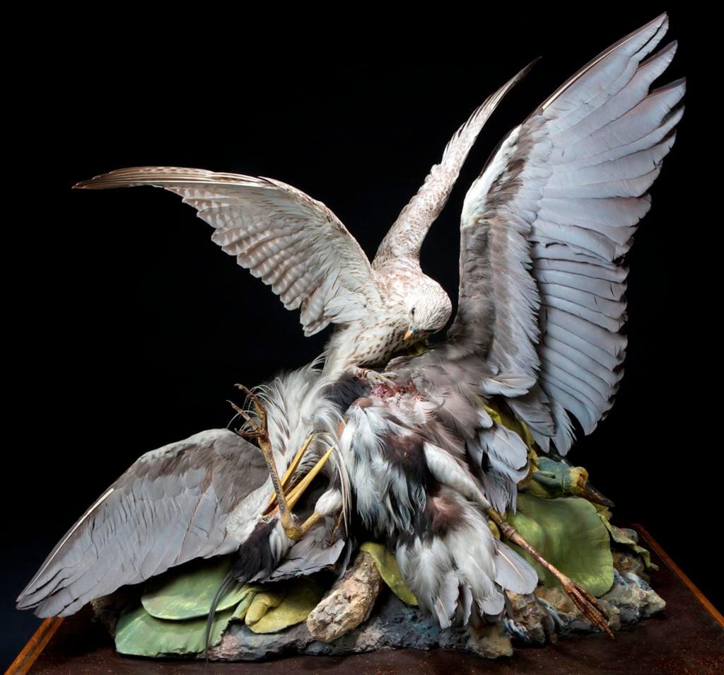 Struggle with the Quarry, 1851 (mixed media) by John Hancock 