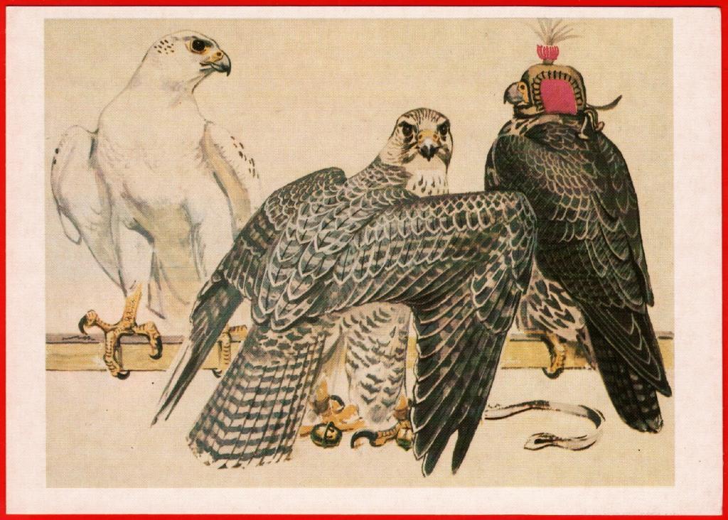 Gyrfalcon by Vadim Gorbatov - postcard made in 1984
